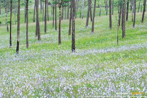 อุทยานแห่งชาติภูสอยดาว