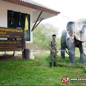 อุทยานแห่งชาติกุยบุรี