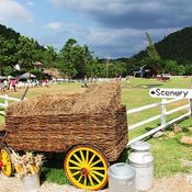 the scenery vintage farm จ.ราชบุรี