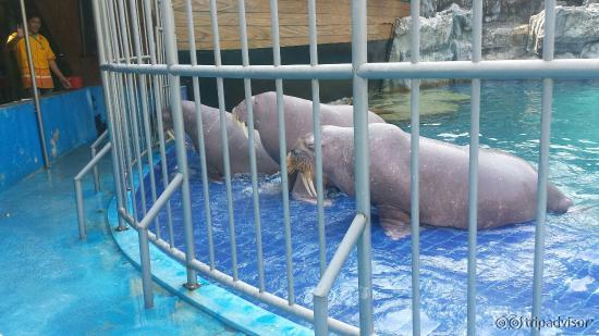 20160307_151728_large.jpg