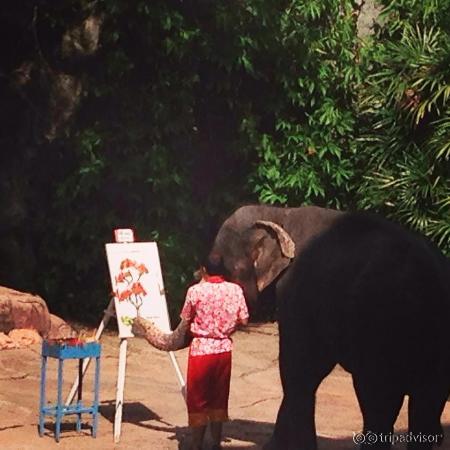 An elephant's drawing picture