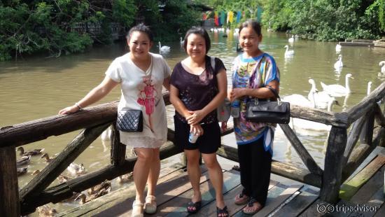 เหมาะกับครอบครัว