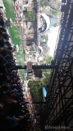 Elephant and spy war show was the best