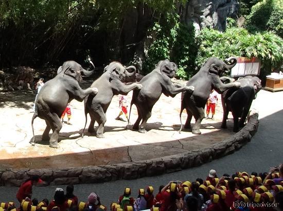 Elephant Show