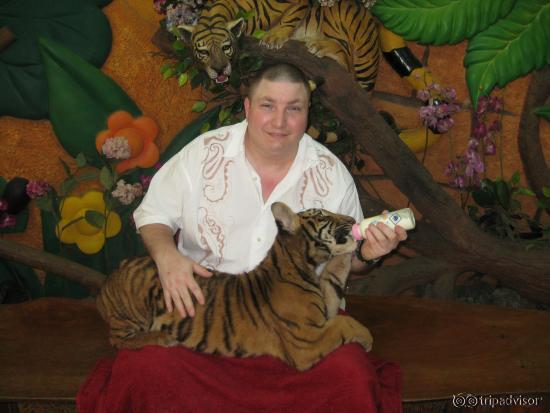 feeding a baby tiger, so much fun!