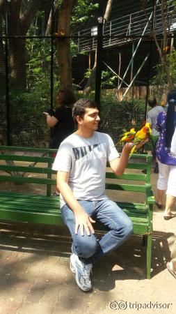 Feeding parrot at safari world Marine park