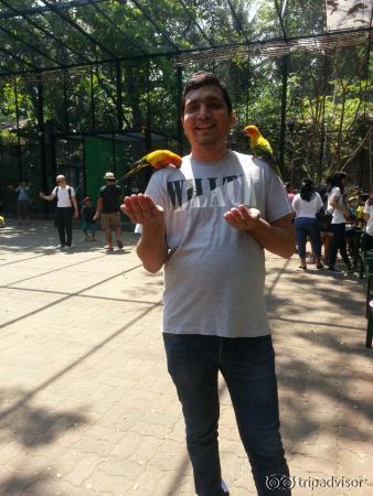 Feeding parrot at safari world Marine park