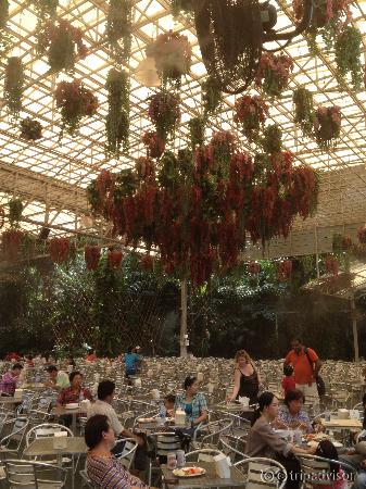 Food court