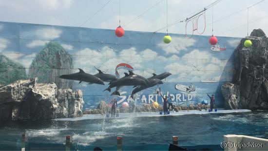 it's a really amazing experience if u staying in bkk its worth trying