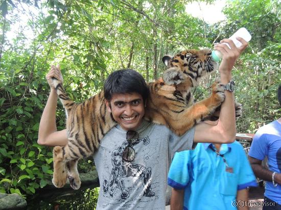 Me with a baby tiger