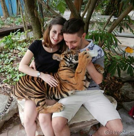 Photo With Tiger