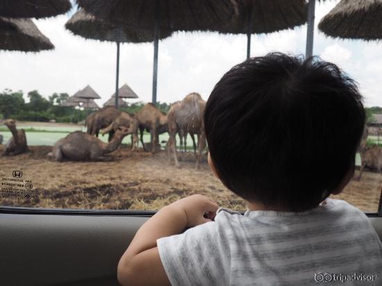 photo1.jpg