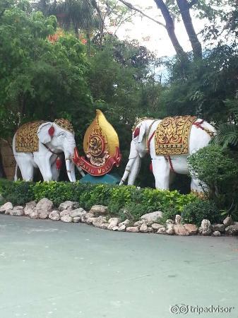 Safari Bangkok
