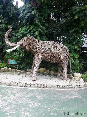 Safari Bangkok