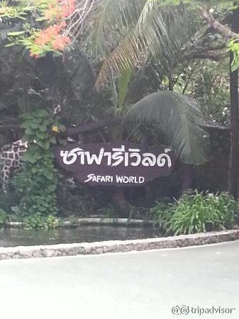Safari Bangkok