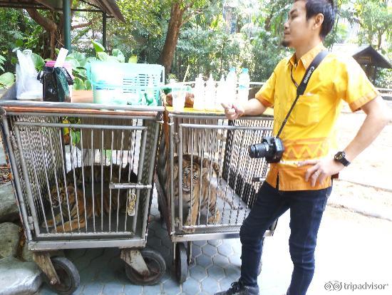 Safari Park Bangkok