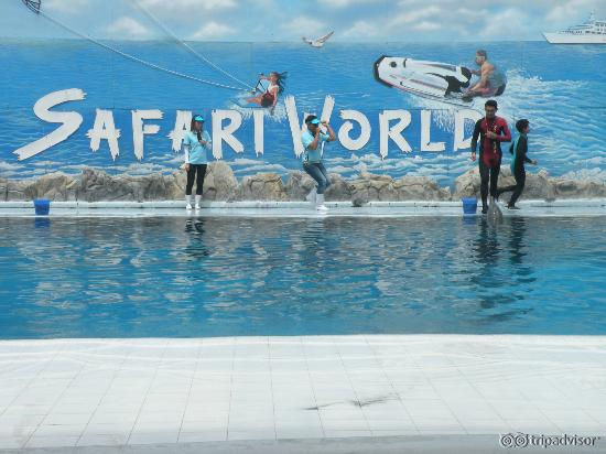 Safari World Marine Park- Dolphin Show