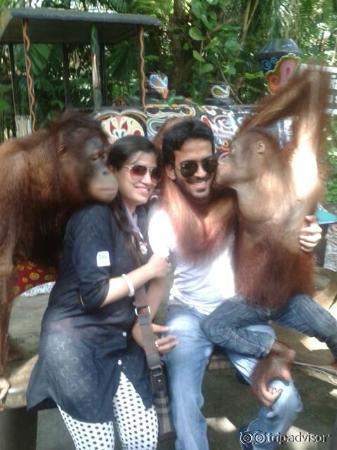 Humans with their ancestors !!