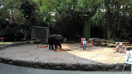 Safari World