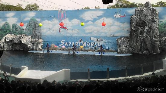 Safari World