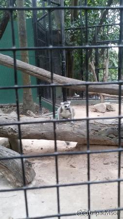 Safari World