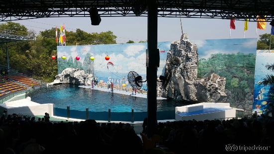 Safari World