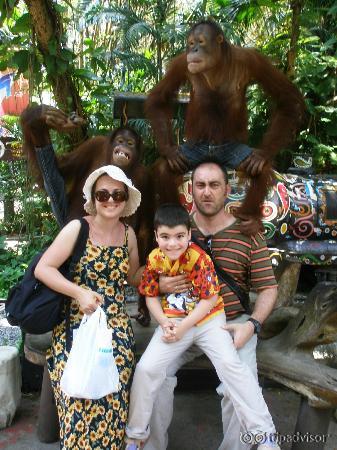 With the orangutans