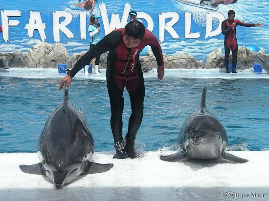 Safari World Marine Park- Dolphin Show