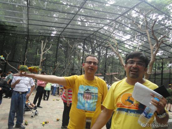 Bird Park