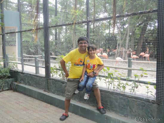 Safari Park with my son