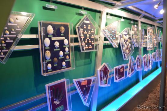 Egg World Museum