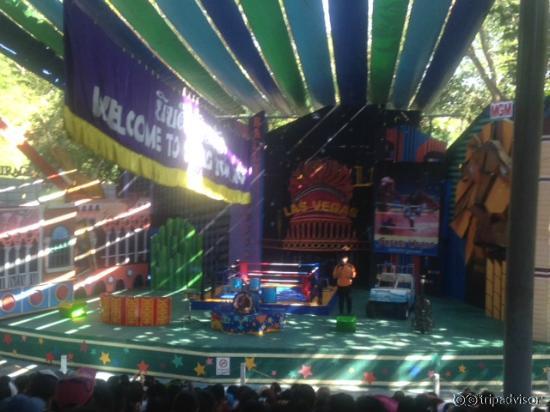 Orang Utan Show