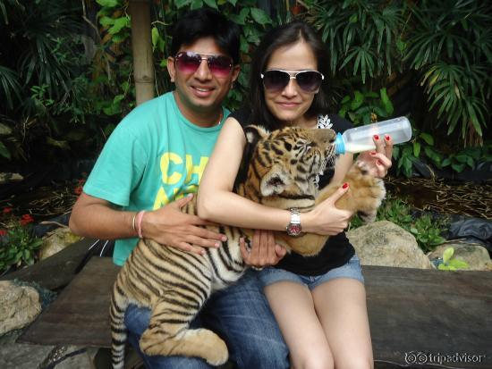 At Safari world