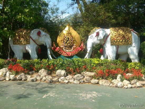 near the entrance of Safari World