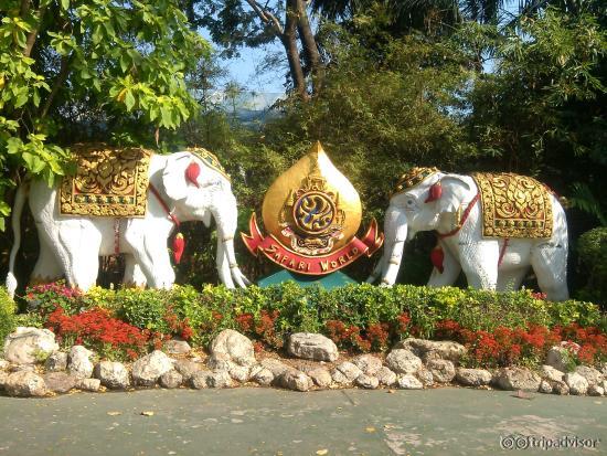 near the entrance of Safari World