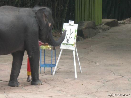 Elephant painting a picture