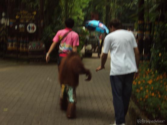 Safari World