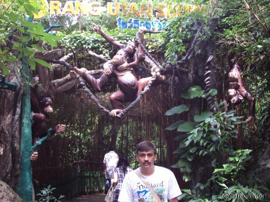 Safari World