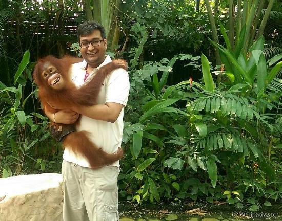 With a Gibbon
