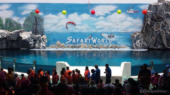 Safari World