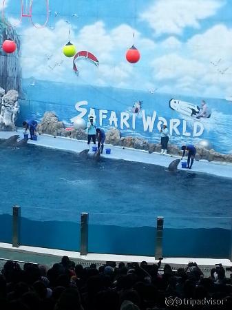 Safari world