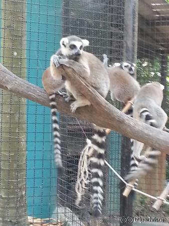 Safari world