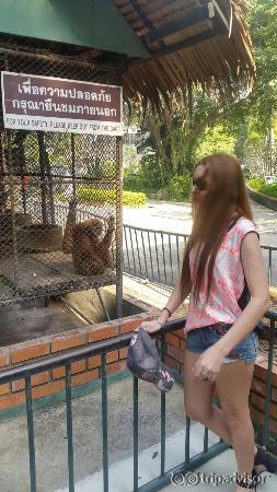 Safari World