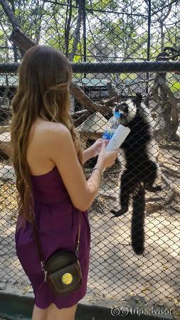 Safari World