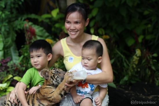 Photo with Tiger