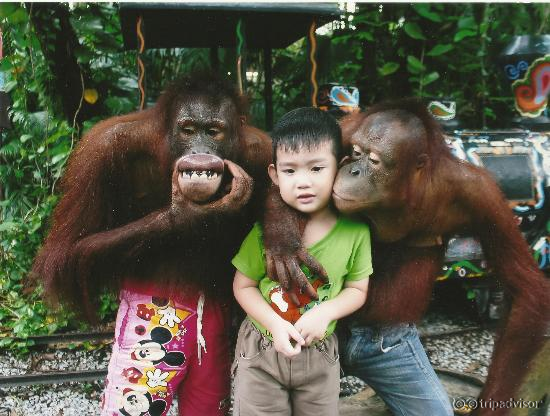 With Monkey