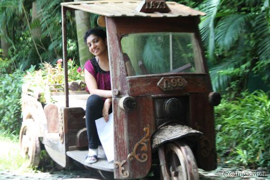 Safari World