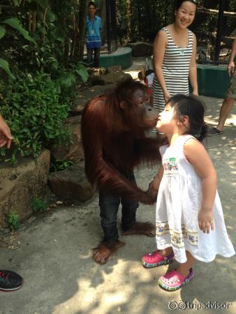 So cute animals