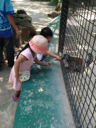 So cute animals
