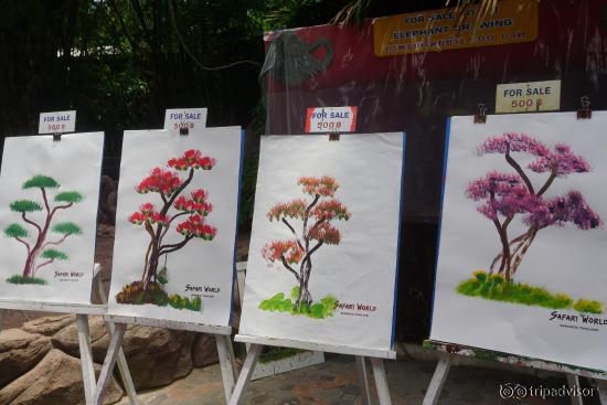 Elephants' paintings